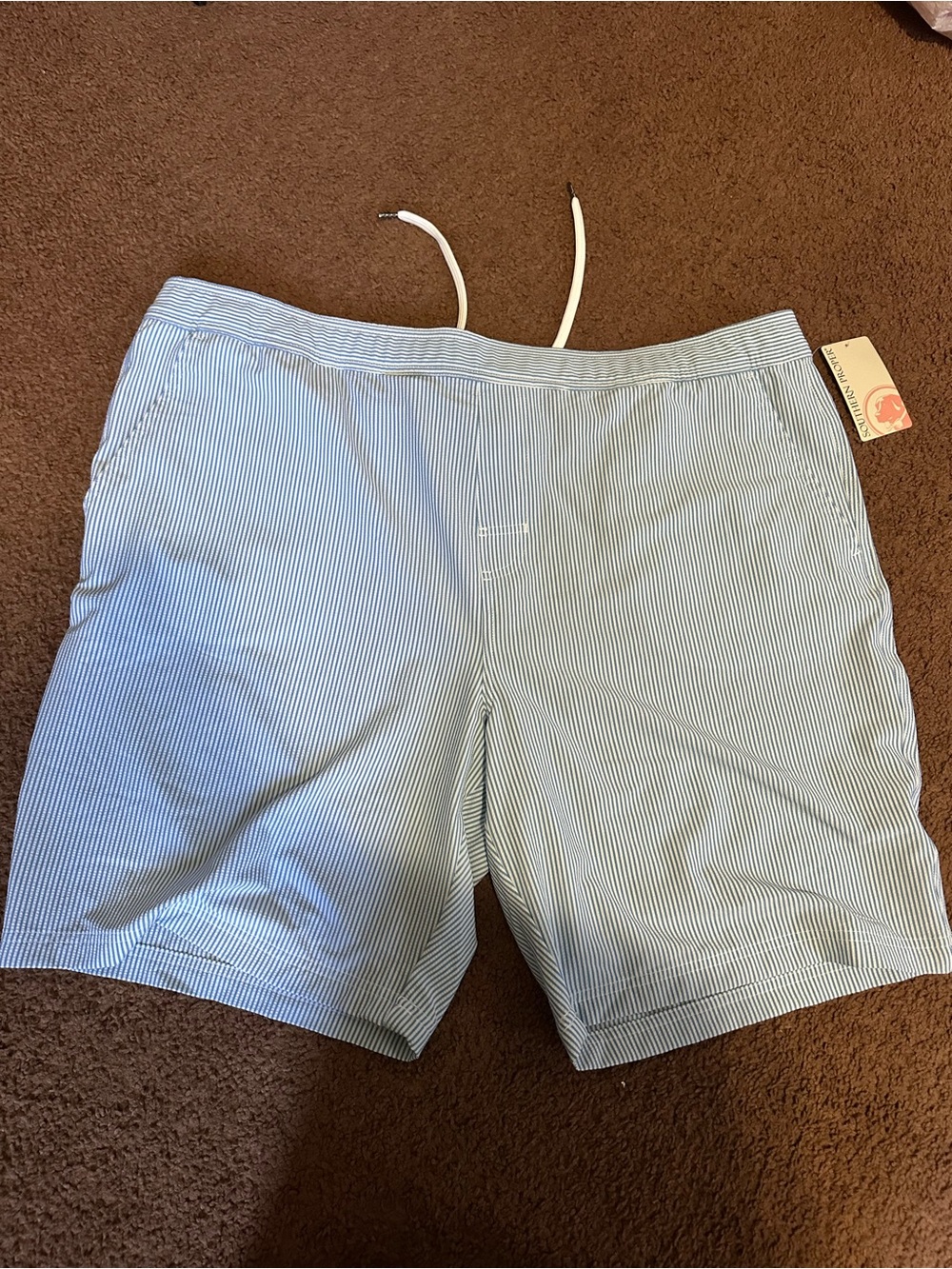 Southern Proper Blue and White Pinstripe Flat Front Shorts